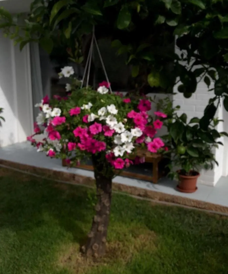 מונדלו Villa Ribaudo Relax